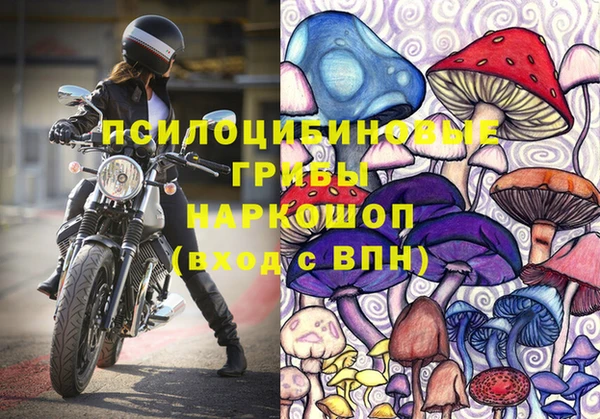 таблы Алексин